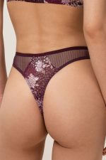 Slip model 230031 Triumph - Afbeelding 3