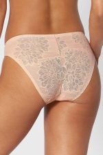 Slip model 230310 Triumph - Afbeelding 3