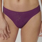 Slip model 230311 Triumph