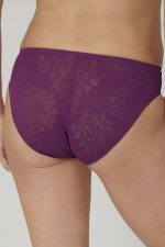 Slip model 230311 Triumph - Afbeelding 3